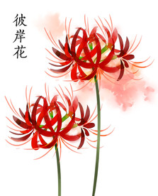 手绘