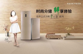 容声冷柜立式冷冻柜海报