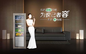 容声冷柜 客厅柜  厅吧 视觉