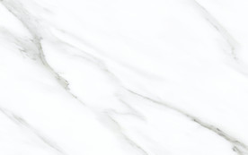 会所新豪华鱼肚白 tif合层