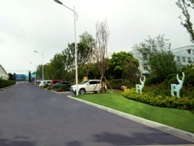 绿化改造设计效果图