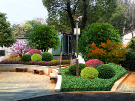 绿化改造设计效果图