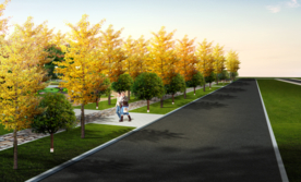 道路绿化景观设计效果图