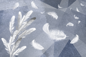 简约时尚羽毛背景图