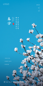 春分 清明 白玉兰