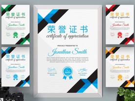 荣誉证书时尚竖版证书
