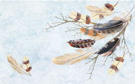 彩色羽毛纹理背景图