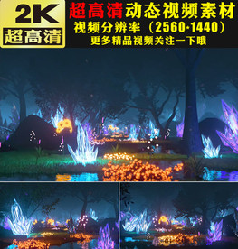 树林森林彩色钻石闪耀视频素材