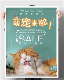 萌宠来啦 宠物店促销