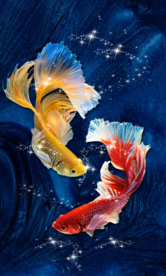 鱼装饰画玄关背景