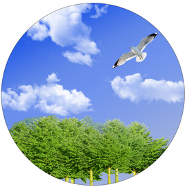 圆形树木蓝天白云