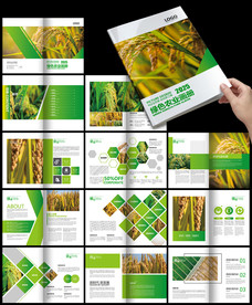 绿色环保现代农业农产品生态农业