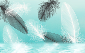 黑白羽毛背景装饰画