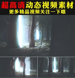 炫酷森林光柱节奏跳动舞台视频