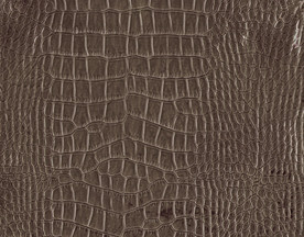 皮革贴图