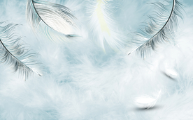 淡蓝羽毛电视墙