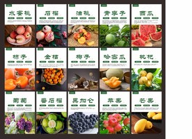 水果简介  水果介绍 水果展板