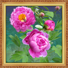 原创高清牡丹花装饰画