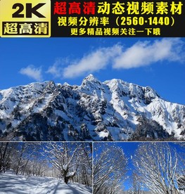 唯美冬天雪景雪松雪山雪峰视频