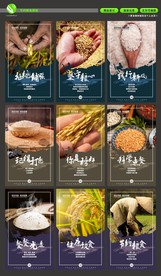 厉行节俭 光盘行动 文明用餐