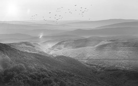 水墨山水背景墙