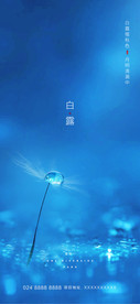 白露