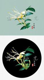 矢量金银花