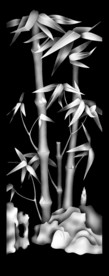 竹子灰度图
