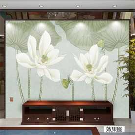 荷花 白色 爱莲说