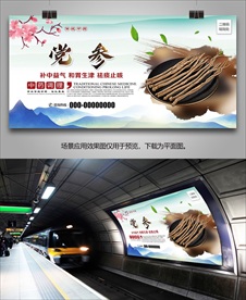 中草药党参灯箱海报展板展架挂画