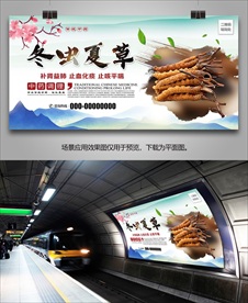 中药冬虫夏草海报灯箱展板展架