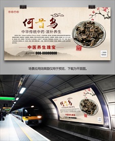 何首乌简介海报灯箱展板展架挂画