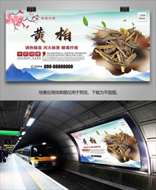中草药黄柏海报灯箱展板挂画单页