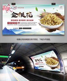 金银花宣传海报灯箱展板展架挂画