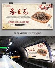 马齿苋招贴海报灯箱展板挂画单页