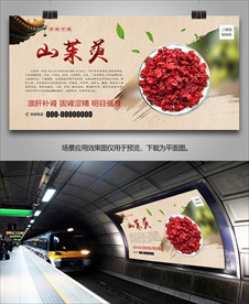 山茱萸灯箱海报展板挂画单页展架