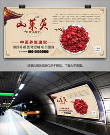 中药山茱萸海报灯箱展板展架挂画