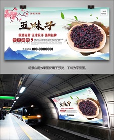 五味子宣传海报灯箱展板挂画单页