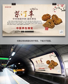 紫河车简介灯箱海报展板挂画单页