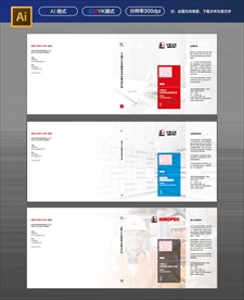 中国石化VIS封面