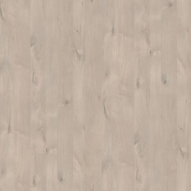 巴拿马赤杨木木纹大图