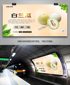 白兰瓜批发海报灯箱展板展架挂画