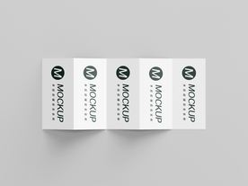 五折页宣传册样机