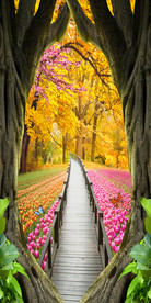 花卉3D玄关壁画背景墙