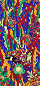 线条   花 鸟 大牌