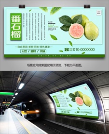 番石榴灯箱单页挂画展板海报