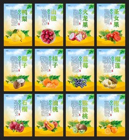 水果海报  水果挂画