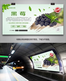 新鲜黑莓展板挂画海报单页展架