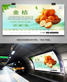 金桔挂画展架易拉宝单页展板海报