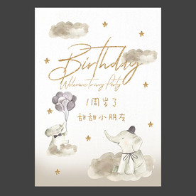 INS儿童生日海报